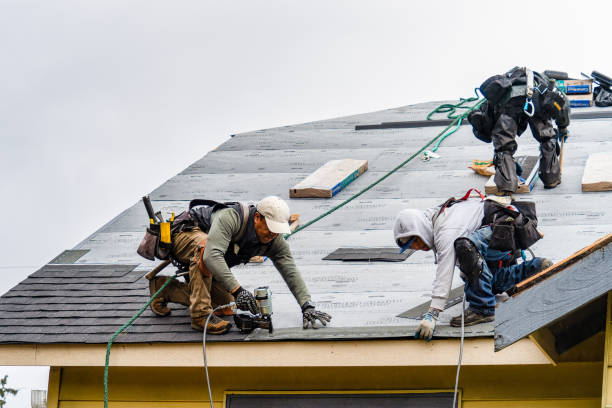 Professional Gutter Installation technician working in Prescott, AR